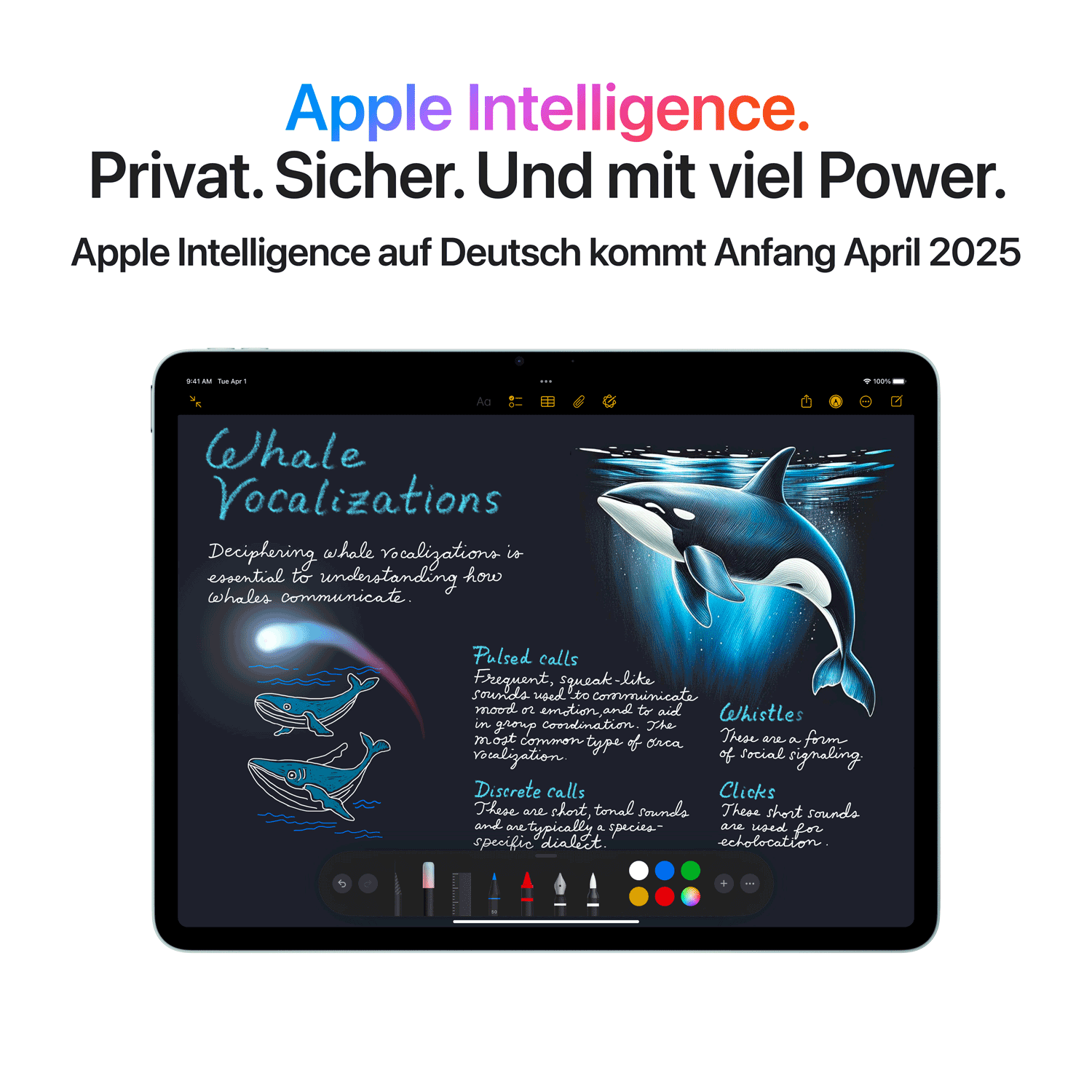 Купить Apple iPad Air 13 M3 Wi-Fi + Cellular 256GB (spacegrau) (MCJ54TY/A) в магазине wardena.ru