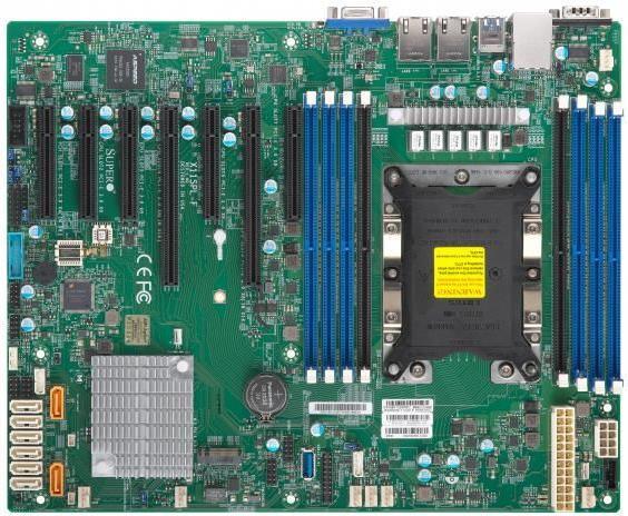 Купить Super Micro SUPERMICRO X11SPL-F - Motherboard - ATX - Socket P - C621 - USB3.0 - 2 x Gigabit LAN - Onboard-Grafik (MBD-X11SPL-F-B) в магазине wardena.ru