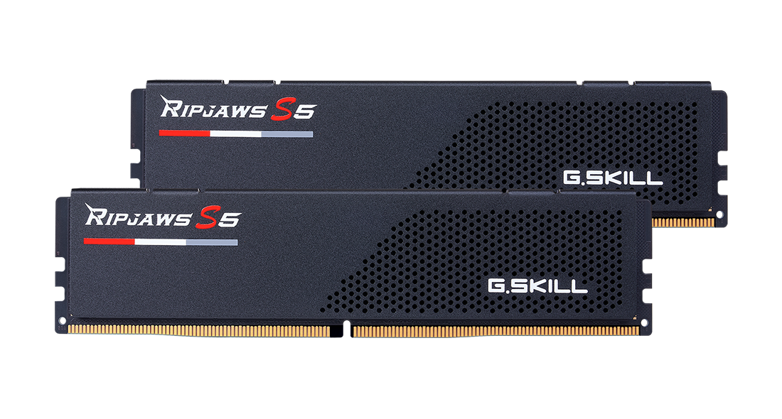 Купить G.Skill Ripjaws S5 - DDR5 - Kit - 32 GB: 2 x 16 GB - DIMM 288-PIN - 5600 MHz / PC5-44800 - CL36 - 1.2 V - ungepuffert - non-ECC - mattschwarz (F5-5600U3636C16GX2-RS5K) в магазине wardena.ru