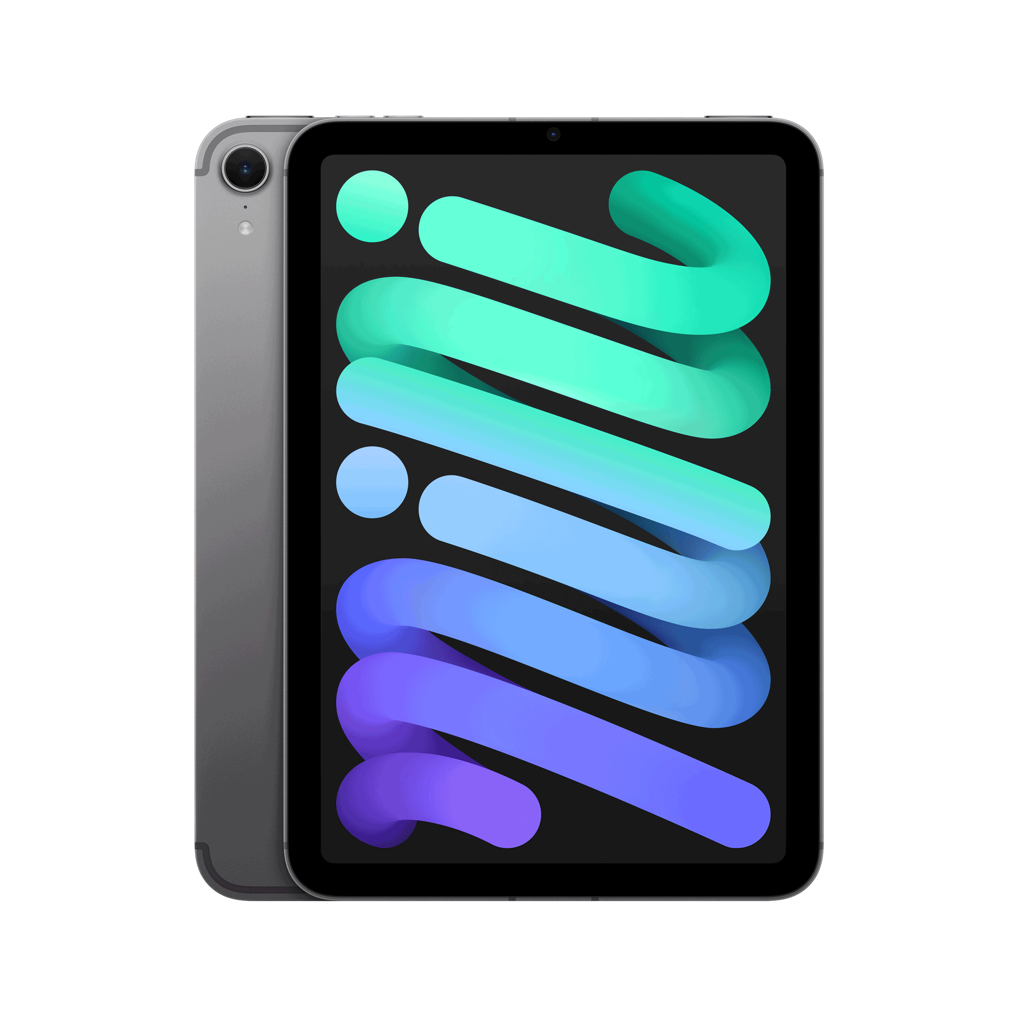 Купить Apple iPad mini 8.3 Wi-Fi + Cellular 256GB (spacegrau) (MXPT3NF/A) в магазине wardena.ru