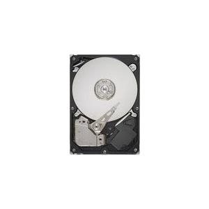 Купить Lenovo FRU42D0520 450GB SAS Interne Festplatte (FRU42D0520) в магазине wardena.ru