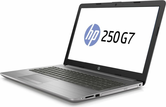 Купить HP 250 G7 - Core i3 1005G1 / 1.2 GHz - Win 10 Pro 64-Bit - 8 GB RAM - 256 GB SSD NVMe, TLC, HP Value - DVD-Writer - 39.6 cm (15.6") 1920 x 1080 (Full HD) - UHD Graphics - Bluetooth, Wi-Fi - dunkel aschgrau silberfarben, (197S4EA#ABD) в магазине wardena.ru