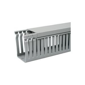 Купить OBO BETTERMANN Verdrahtungskanal 60 x 60, 2 m (6178033) в магазине wardena.ru