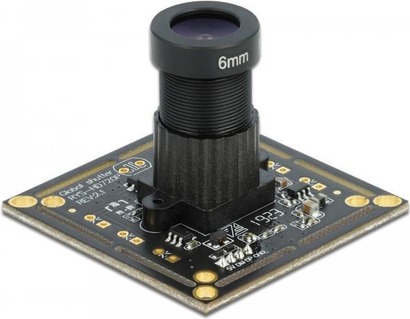 Купить DeLOCK USB2.0 Camera Module with Global Shutter black / white 0,92 mega pixel 32° fix focus - USB2.0 Kameramodul 0,92Mp (96397) в магазине wardena.ru
