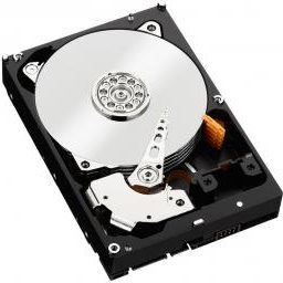 Купить WD WD1003FZEX - Festplatte - 1TB - intern - 8,9 cm (3.5") - SATA-600 - 7200 U/min - Puffer: 64MB (WD1003FZEX) в магазине wardena.ru