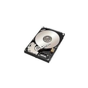 Купить Lenovo - Festplatte - 2 TB - intern - 6.4 cm (2.5") - SATA 3Gb/s - 5400 U/min (4XB0P21128) в магазине wardena.ru