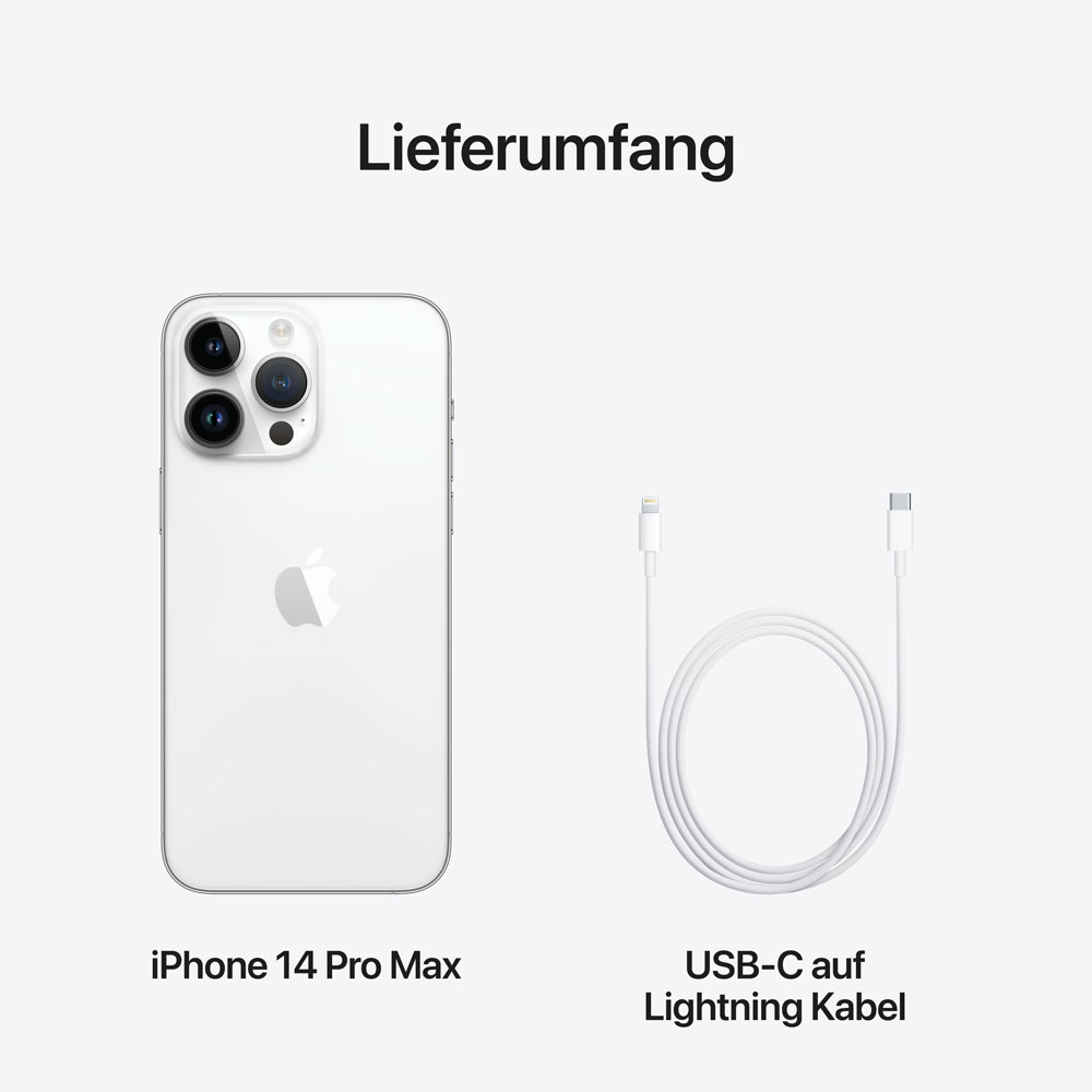 Купить Apple iPhone 14 Pro Max 1TB Silver (MQC33ZD/A) в магазине wardena.ru