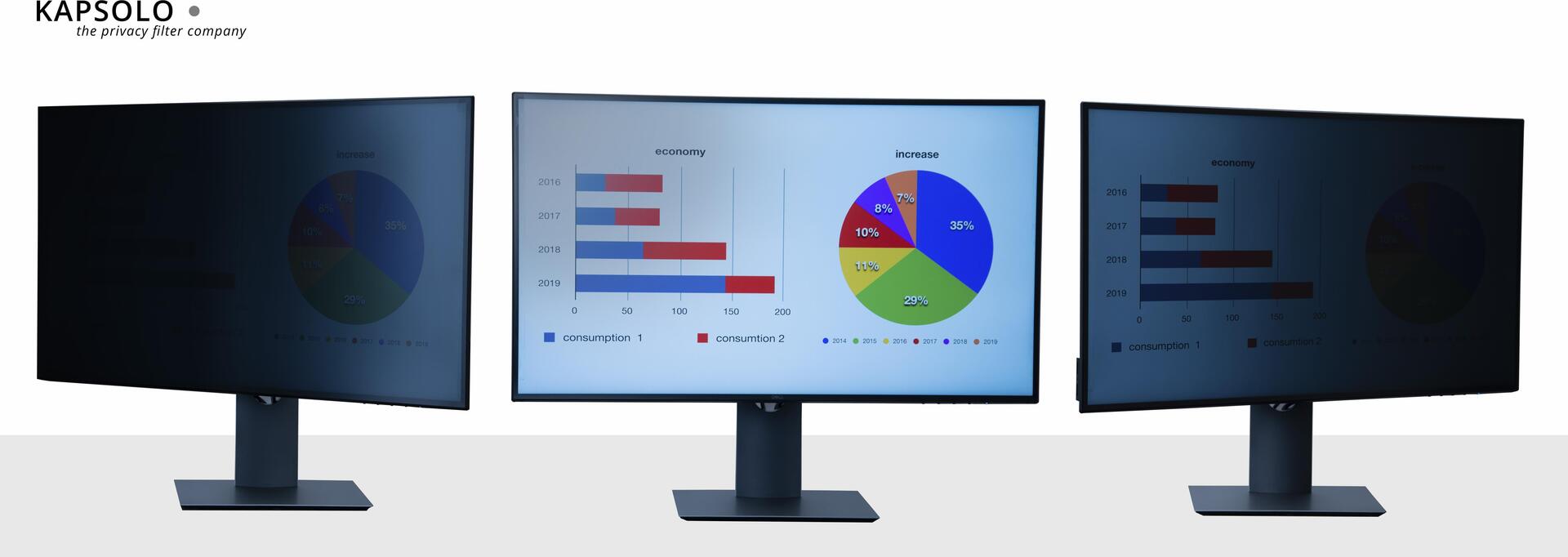Купить KAPSOLO 2-wege Blickschutzfilter / Blickschutzfolie abnehmbar für 80,0cm (31.5") Wide 16:9 - Monitor - Rahmenloser Display-Privatsphärenfilter - Transparent - Privatsphäre - 16:9 - 30° (KAP11042) в магазине wardena.ru
