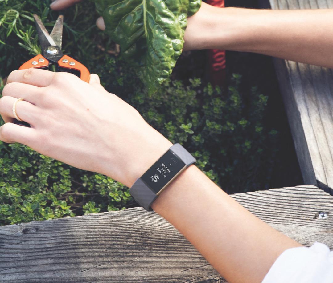 Купить Fitbit Charge 3 Wristband activity tracker Verkabelt & Kabellos Blau - Grau - Rose Gold (FB409RGGY-EU) в магазине wardena.ru