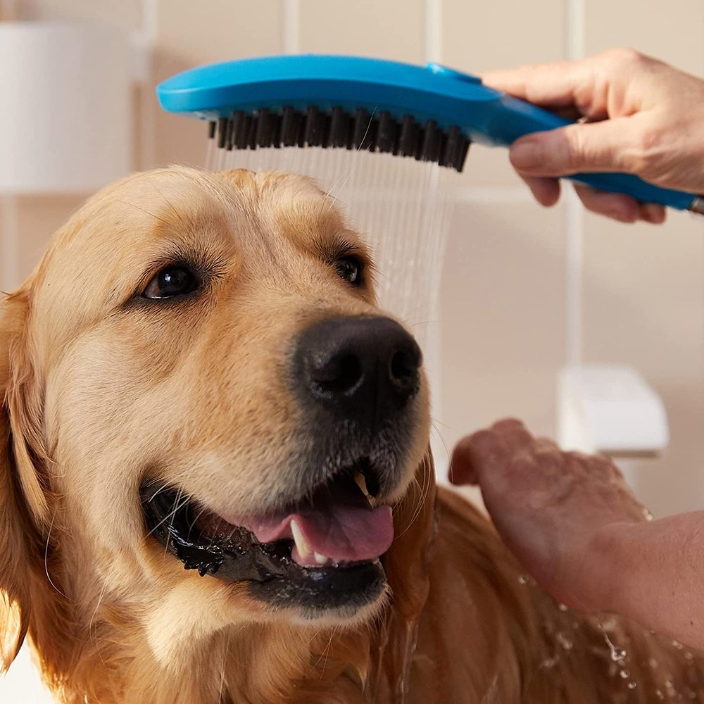 Купить Hansgrohe DogShower Душ для собак 150 3jet с массажной струей бирюзовый 26640540 в магазине wardena.ru