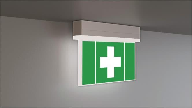 Купить RP KSC013SC RZ/SI-Leuchte Univ. EB+SC/3h m.Piktoset LED LiFePO4 EKW 22m IP54 (KSC013SC) в магазине wardena.ru