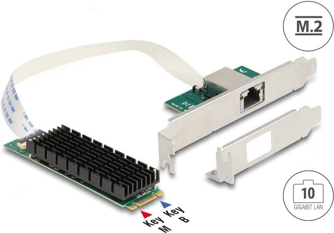 Купить Delock M.2 Key B+M 1 x RJ45 10 Gigabit LAN Netzwerkkarte (95274) в магазине wardena.ru