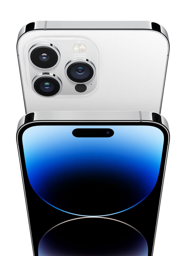 Купить Apple iPhone 14 Pro Max 1TB Silver (MQC33ZD/A) в магазине wardena.ru