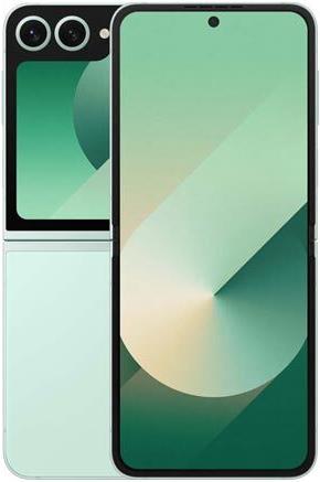 Купить Samsung Galaxy Z Flip6 F741B 5G Dual Sim 12GB RAM 256GB - Mint (SM-F741BLGGEUB) в магазине wardena.ru