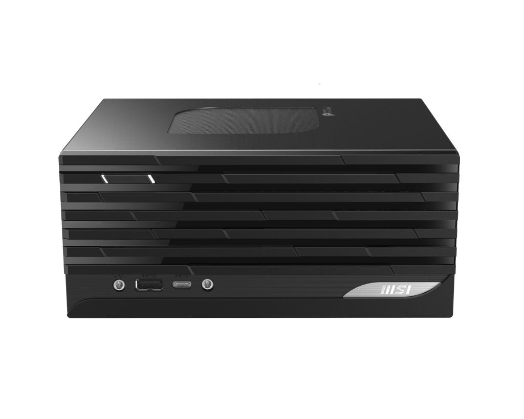 Купить MSI PRO DP20Z 5M-093DE PC/Workstation 5600G Kleiner Desktop AMD Ryzen™ 5 8 GB 256 GB SSD Windows 11 Pro Mini-PC Schwarz (00B0A211-093) в магазине wardena.ru