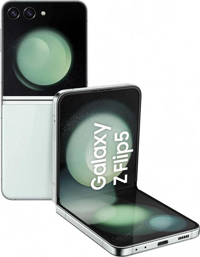 Купить Samsung Galaxy Z Flip5 SM-F731B 17 cm (6.7") Dual-SIM Android 13 5G USB Typ-C 8 GB 256 GB 3700 mAh Mintfarbe (SM-F731BLGGEUE) в магазине wardena.ru