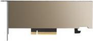 Купить PNY Electronics NVIDIA A2 - GPU-Rechenprozessor - A2 - 16 GB GDDR6 - PCIe 4.0 x8 Low-Profile - ohne Lüfter (TCSA2MATX-PB) в магазине wardena.ru