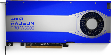 Купить AMD Radeon Pro W6600 - Grafikkarten - Radeon Pro W6600 - 8 GB GDDR6 - PCIe 4.0 x8 - 4 x DisplayPort (100-506159) в магазине wardena.ru
