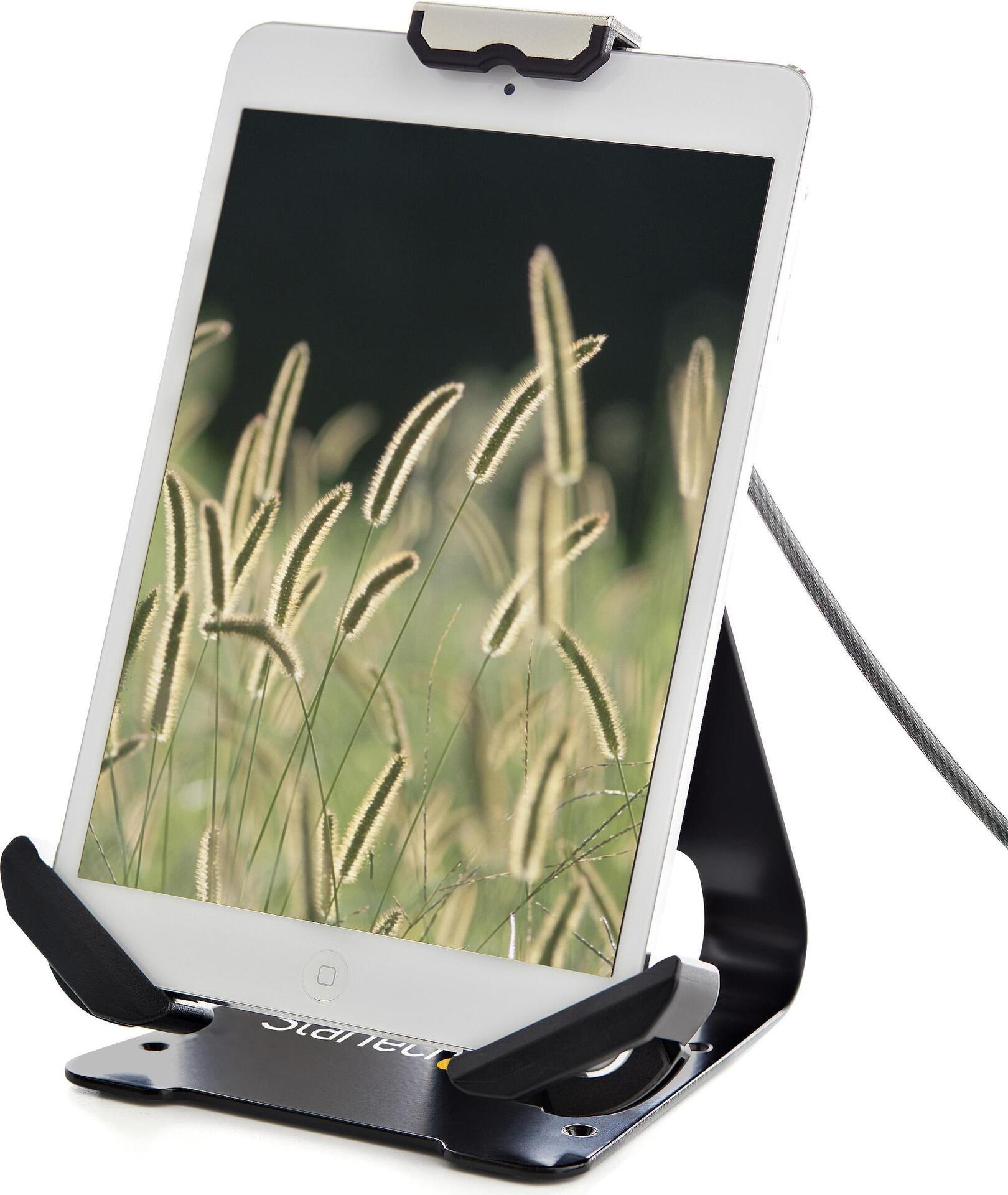 Купить StarTech.com Sichere Tablet-Halterung mit K-Slot-Kabelschloss - iPad Ständer für 7,9 -13"  Tablets mit Diebstahlsicherung- Universell verstellbarer Tablet Tischständer - Abschließbarer Tabletständer (SECTBLTDT) в магазине wardena.ru