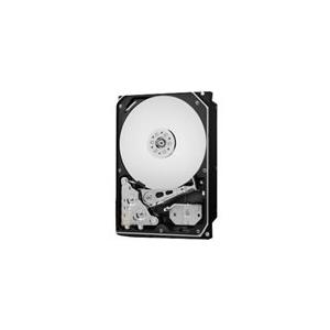 Купить WD Gold Datacenter Hard Drive WD2005FBYZ - Festplatte - 2 TB - intern - 3.5" (8.9 cm) - SATA 6Gb/s - 7200 U/min - Puffer: 128 MB в магазине wardena.ru