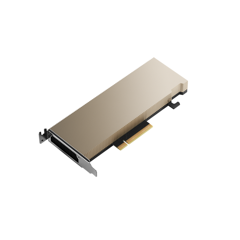 Купить PNY Electronics NVIDIA A2 - GPU-Rechenprozessor - A2 - 16 GB GDDR6 - PCIe 4.0 x8 Low-Profile - ohne Lüfter (TCSA2MATX-PB) в магазине wardena.ru