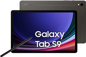 Купить Samsung Galaxy Tab S 256 GB - Tablet (SM-X716BZAEEEE) в магазине wardena.ru