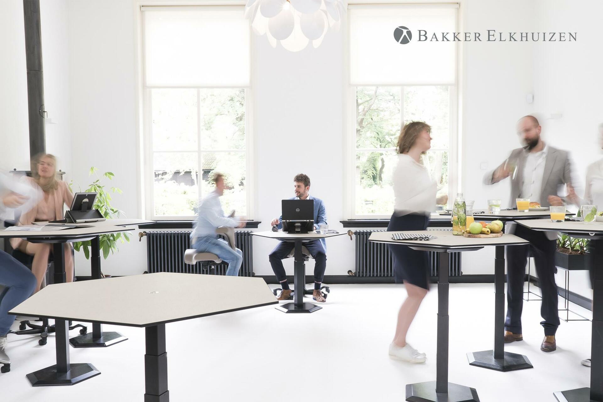 Купить BakkerElkhuizen Honeycomb - Schwarz - 605 - 1265 mm - 900 mm - 900 mm - 605 mm - 57,5 kg (BNEHCT) в магазине wardena.ru