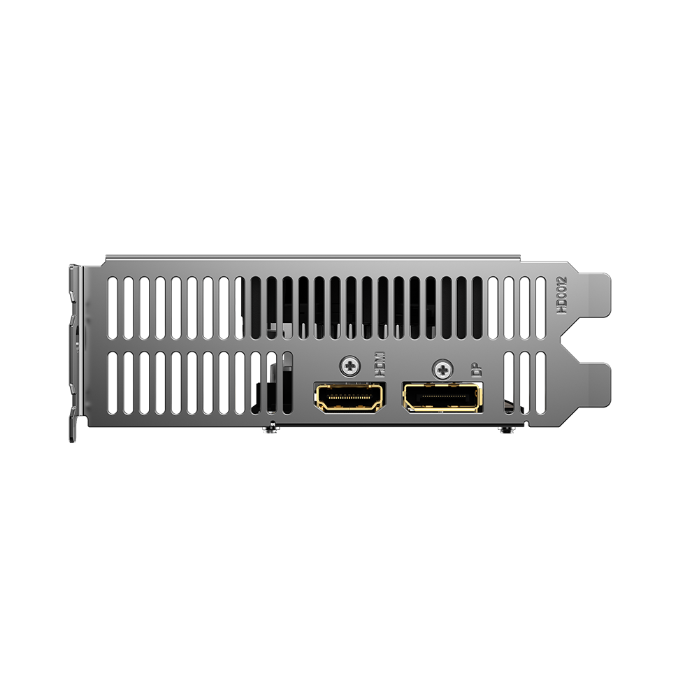 Купить Gigabyte Radeon RX 6400 D6 LOW PROFILE 4G - Grafikkarten - Radeon RX 6400 - 4GB GDDR6 - PCIe 4,0 Low-Profile - HDMI, DisplayPort (GV-R64D6-4GL) в магазине wardena.ru