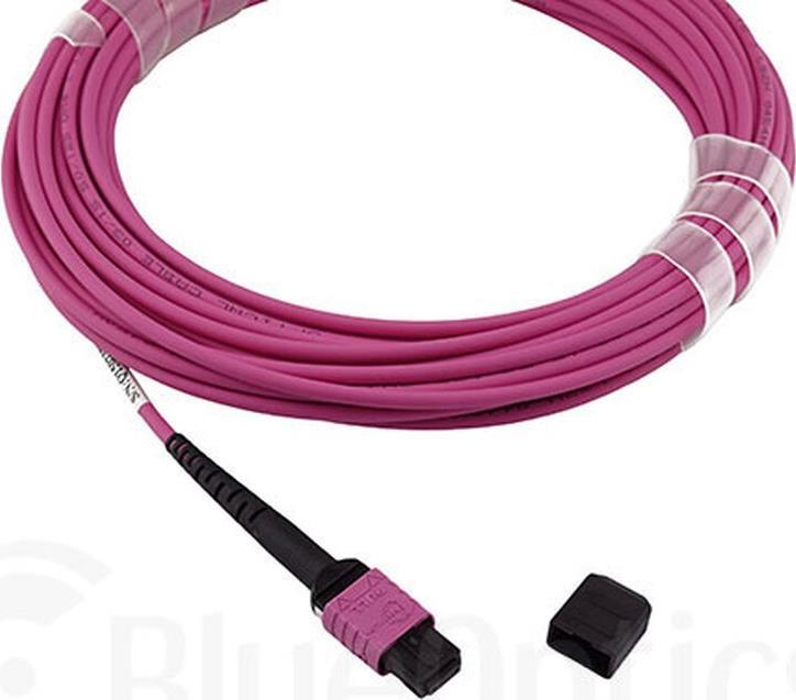Купить Kompatibles Dell EMC CBL-MPO12-OM4-7M BlueOptics LWL Trunkkabel, MPO/UPC zu MPO/UPC, 7.5 Meter, Multimode G50/125µm, OM4, Einfügedämpfung: unter 0.3dB, Markenfaser, 3.0mm LSZH magenta, 12 Kerne, Typ B, MPO Stecker ohne P (CBL-MPO12-OM4-7M-BO) в магазине wardena.ru