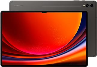 Купить Samsung Galaxy Tab S9 Ultra SM-X916B 5G 512 GB 37,1 cm (14.6") Qualcomm Snapdragon 12 GB Wi-Fi 6 (802.11ax) Android 13 Graphit (SM-X916BZAEEUE) в магазине wardena.ru