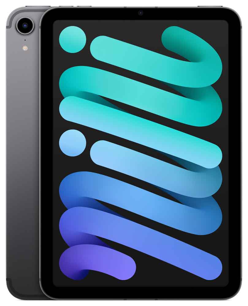 Купить Apple iPad mini Wi-Fi + Cellular - 6. Generation - Tablet - 64GB - 21,1 cm (8.3") IPS (2266 x 1488) - 3G, 4G, 5G - Space-grau (MK893FD/A) в магазине wardena.ru