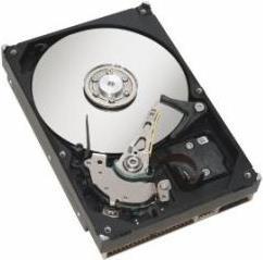 Купить Fujitsu Business Critical - Festplatte - 1 TB - intern - 2.5" (6.4 cm) - SATA 6Gb/s - 7200 U/min - für Celsius C740, J550, J580, M7010, M740, M770, R940, R970, W550, W570, W580 (S26361-F3925-L100) в магазине wardena.ru
