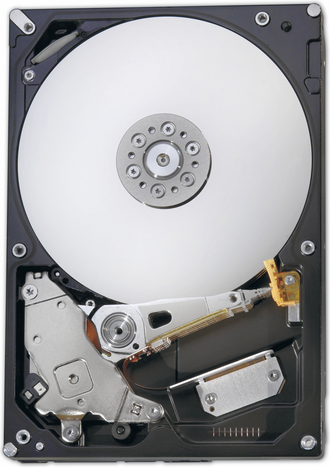 Купить Fujitsu - Festplatte - 2TB - Hot-Swap - 6,4 cm (2.5") - SATA 6Gb/s - 7200 U/min - für PRIMERGY BX2560 M1, RX1330 M1, RX2530 M1, RX2540 M1, RX2560 M1 (2.5"), TX2560 M1 (2.5") (S26361-F3907-L200) в магазине wardena.ru
