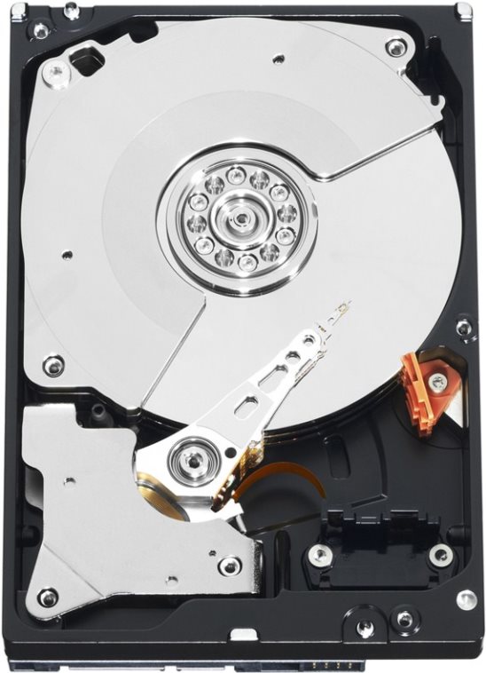 Купить WD WD1003FZEX - Festplatte - 1TB - intern - 8,9 cm (3.5") - SATA-600 - 7200 U/min - Puffer: 64MB (WD1003FZEX) в магазине wardena.ru