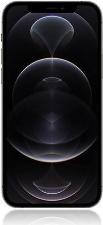 Купить Apple iPhone 12 Pro Max - 5G Smartphone - Dual-SIM / Internal Memory 128 GB - OLED-Display - 6.7" - 2778 x 1284 Pixel - Triple-Kamera 12 MP, 12 MP, 12 MP - front camera 12 MP - Graphite (MGD73ZD/A) в магазине wardena.ru