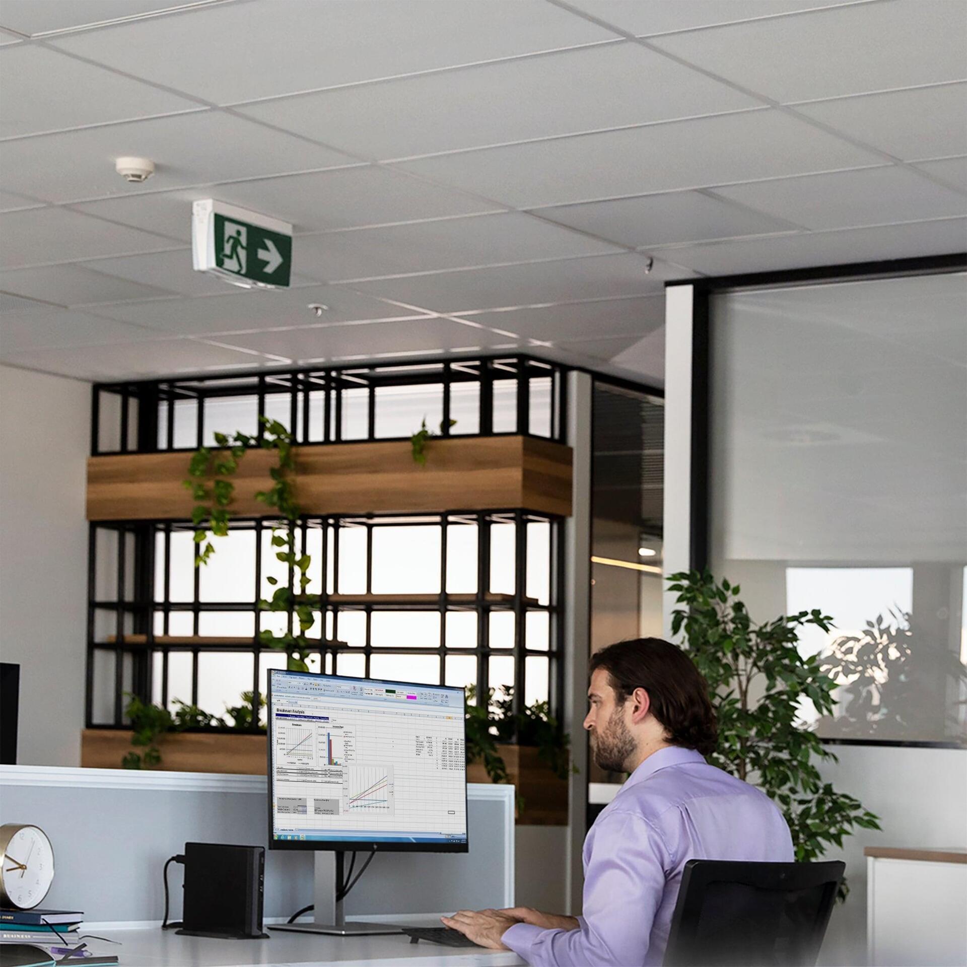 Купить HP ProDesk 405 G8 - Wolf Pro Security - Mini Desktop - Ryzen 3 5300GE / 3.6 GHz - RAM 8 GB - SSD 256 GB - NVMe, HP Value - Radeon Graphics - GigE, Bluetooth 5.2 - WLAN: 802.11a/b/g/n/ac/ax, Bluetooth 5.2 - Win 11 Pro - M (5W6J4EA#ABD) в магазине wardena.ru