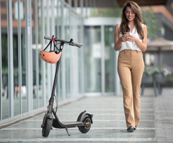 Купить Ninebot by Segway F20D Elektro-Kickroller 20 km/h Schwarz (3802-029) в магазине wardena.ru