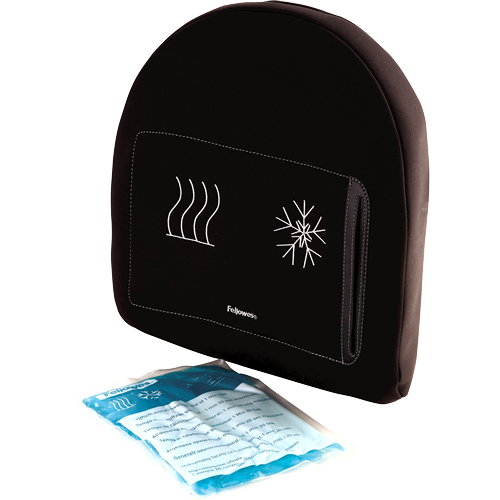 Купить Fellowes Professional Series Wärmende/Kühlende Rückenstütze (8041901) в магазине wardena.ru