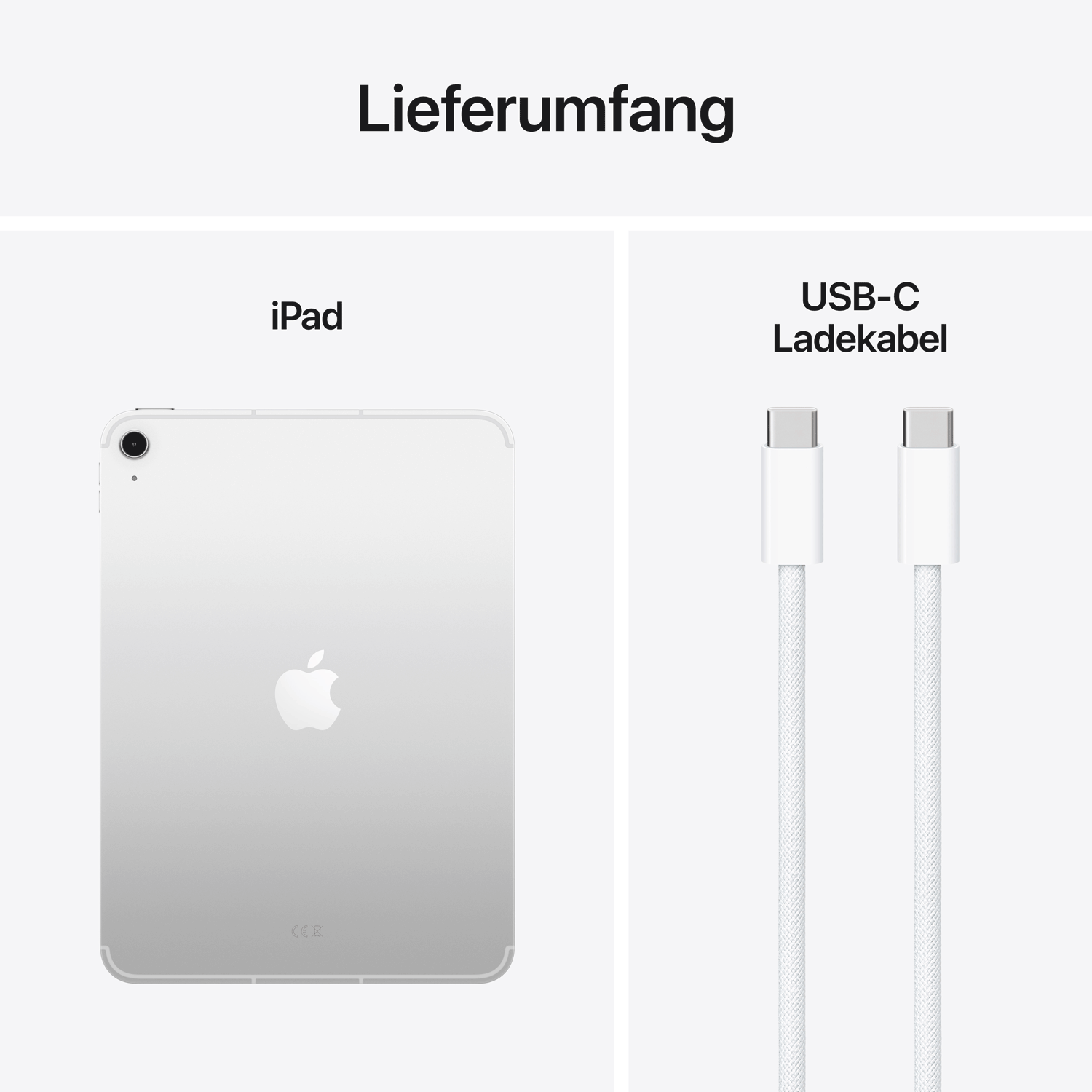 Купить Apple iPad 11 Wi-Fi + Cellular 256GB (silber) 11.Gen (MD7K4TY/A) в магазине wardena.ru