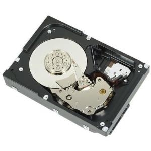 Купить Dell Nearline - Festplatte - 2 TB - intern - 3.5" (8.9 cm) - SAS - 7200 U/min - für PowerEdge R210, R210 II, T110, T110 II (3.5"), T310 (3.5"), T320 (3.5"), T420 (3.5") (400-20625) в магазине wardena.ru