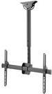 Купить DIGITUS DA-90421 - Befestigungskit (Deckenmontage, Teleskopstange, VESA-Halterung) - für LCD-Display / Curved LCD-Display - Stahl - Schwarz - Bildschirmgröße: 94-177,8 cm (37"-70") (DA-90421) в магазине wardena.ru