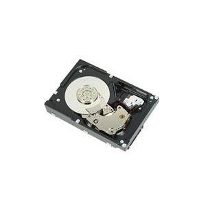 Купить Dell - Festplatte - 600GB - SAS - 10000 U/min (400-AJPE) в магазине wardena.ru