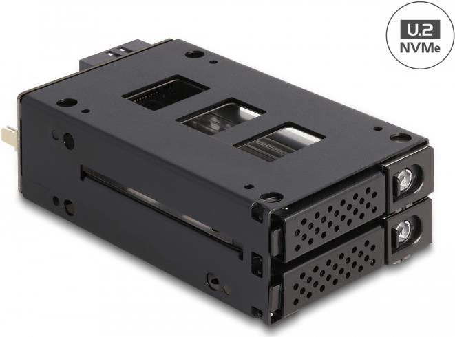 Купить Delock - Mobiles Speicher-Rack - schmaler Schacht - 5,25" bis 2 x 2,5" (13,3 cm bis 2 x 6,4 cm) - Schwarz (47019) в магазине wardena.ru