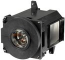 Купить CoreParts - Projektorlampe - 330 Watt - 3000 Stunde(n) - für NEC PA500U, PA500X, PA550W (ML12238) в магазине wardena.ru