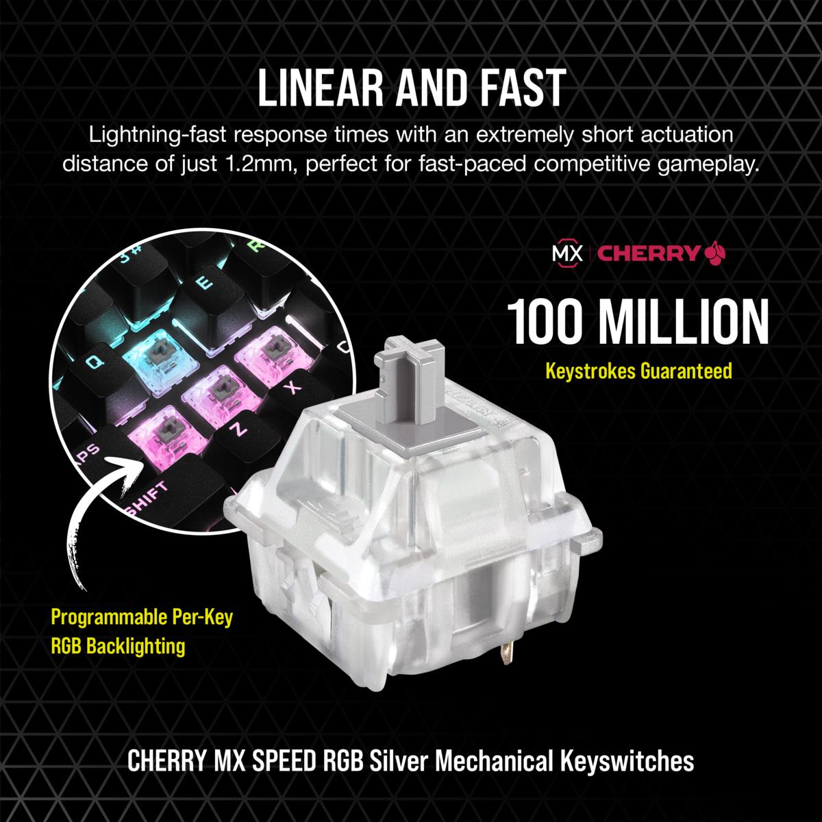 Купить CORSAIR CHAMPION Series K70 RGB TKL - Tastatur - Hintergrundbeleuchtung - USB - Deutsch - Tastenschalter: CHERRY MX Speed (CH-9119014-DE) в магазине wardena.ru