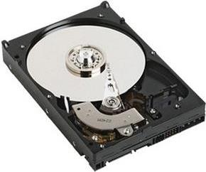 Купить DELL 2G4HM Interne Festplatte 2.5"  2000 GB Serial ATA III (2G4HM) в магазине wardena.ru