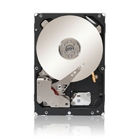 Купить Seagate Enterprise Capacity 3.5 HDD ST4000NM0033 - Festplatte - 4TB - intern - 8,9 cm (3.5") - SATA-600 - 7200 U/min - Puffer: 128MB - OEM Festplatte (ST4000NM0033) в магазине wardena.ru