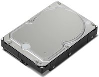 Купить Lenovo Enterprise - Festplatte - 1 TB - intern - 3.5" (8.9 cm) - SATA 6Gb/s - 7200 U/min - für ThinkStation P330 30C5, 30C6, 30C9, P330 (2nd Gen) 30D1, 30D2, 30D4, P520 30BE, 30BF, 30BQ, P520c 30BX, 30BY, 30C0, P720 30BA (4XB0X87801) в магазине wardena.ru