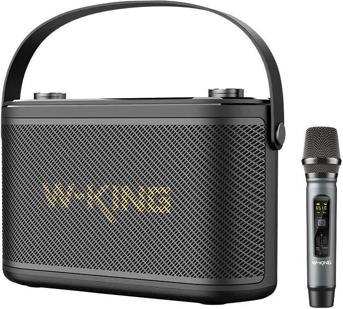 Купить W-KING H10 S 80W tragbarer Lautsprecher, Schwarz (H10 S black) в магазине wardena.ru