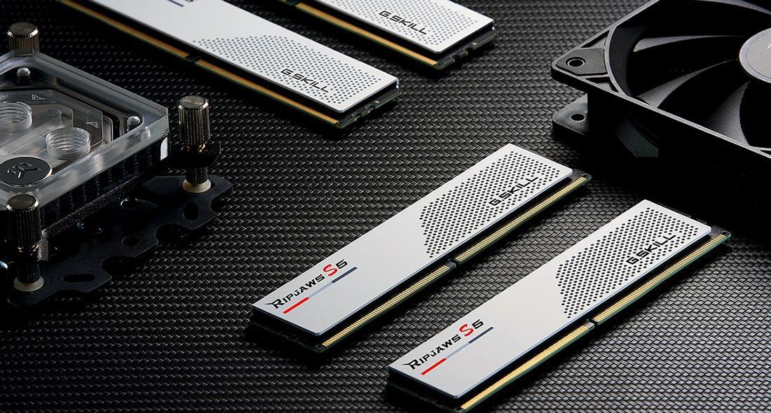 Купить G.Skill Ripjaws S5 - DDR5 - Kit - 64GB - DIMM 288-PIN Low Profile - 5600 MHz / PC5-44800 - CL28 - non-ECC - Mattes Weiß (F5-5600J2834F32GX2-RS5W) в магазине wardena.ru